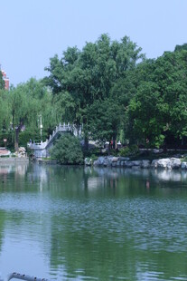 公园风景  