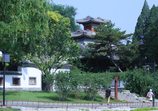 公园风景  