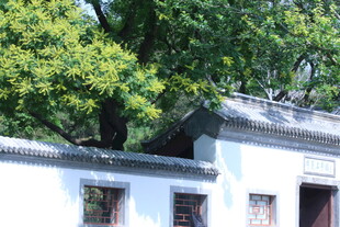 公园风景 