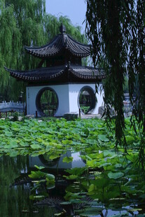 公园风景  