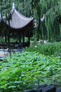 公园风景 