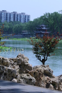 公园风景 