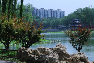公园风景 