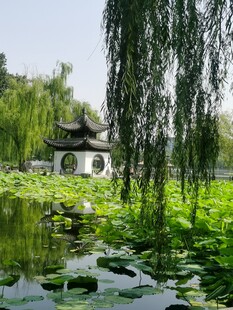 公园风景  