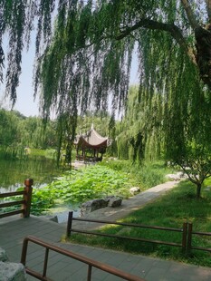 公园风景  