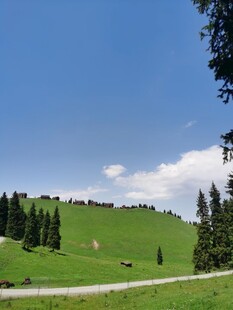 山间绿野 悠然田园风光