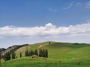 草原风光 绿意盎然的美景