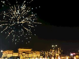 夜空中绚烂绽放的城市烟花