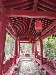 中式红亭 静谧雅致休憩处