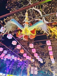 梦幻彩灯悬挂营造节日氛围