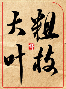 粗枝大叶中国传统书法艺术展示