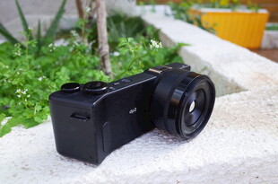 黑色相机置于绿植旁