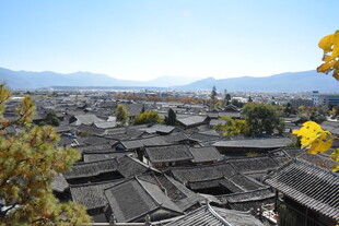 丽江古城屋顶风光