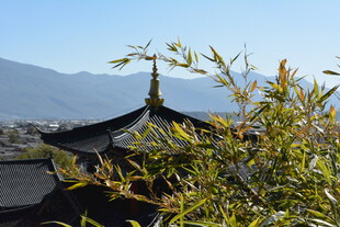 古建旁翠竹与远山景致