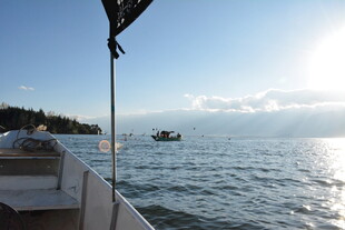 乘船游于波光粼粼水面