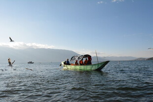 海上小船与飞翔海鸟