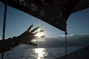 手触阳光 邂逅海上美景