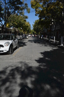 林荫街道上的白色汽车