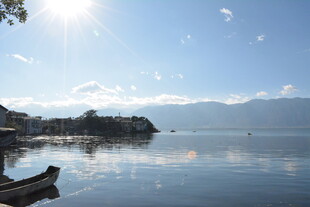 宁静湖畔美景如画