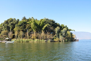 湖中小岛绿意盎然