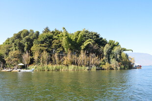 湖中小岛绿意盎然