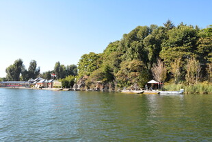 湖畔风光 绿树环绕的水域