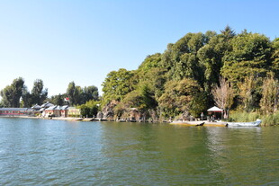 湖畔绿树环绕的宁静风光