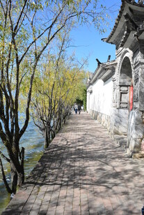 古巷春景 柳拂白墙小道