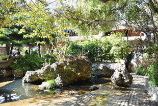 中式园林景观 清幽雅致