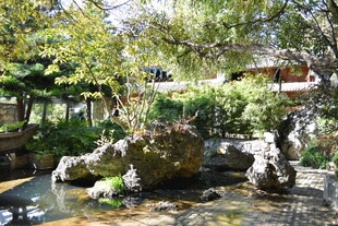 中式园林景观 清幽雅致