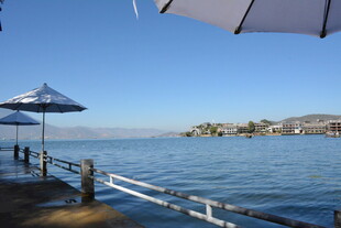 海边码头遮阳伞下的景致