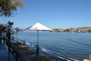湖畔遮阳伞下的悠然景致