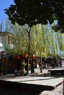 户外休闲场景中的人群活动