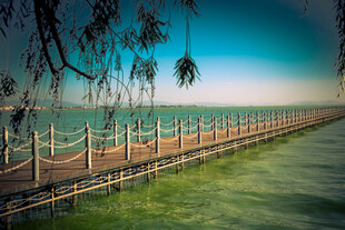 海边木栈道风景