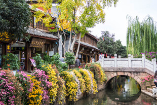 古桥繁花环绕的中式美景