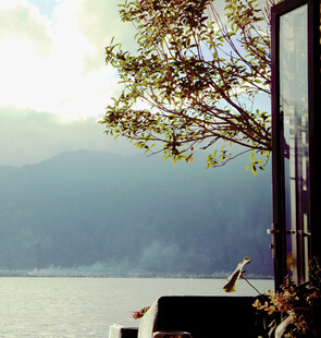 湖畔树影下的静谧时光