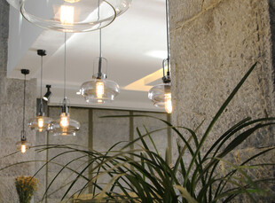 室内简约吊灯与绿植景观