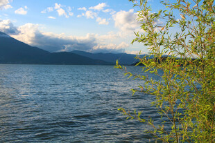 湖畔春色自然风光美景