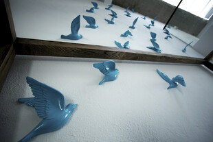 蓝色飞鸟艺术装置展示