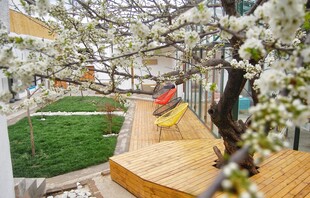 春日繁花下的休闲步道