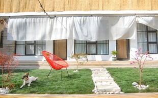 田园风庭院 惬意休闲空间