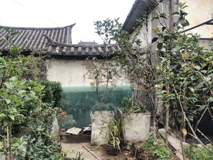 古朴庭院绿植环绕