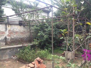 庭院绿植攀爬架景观