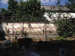 户外围墙旁的绿植景观