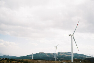 田野上的风力发电机组