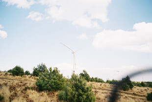 旷野绿植与蓝天白云