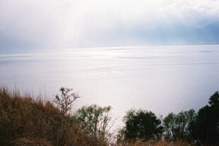 湖畔草木与波光景致