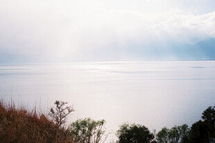 湖畔晨光中的自然景致