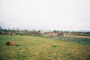 田野中的干草堆与乡村景致