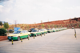 整齐排列的观光游览车